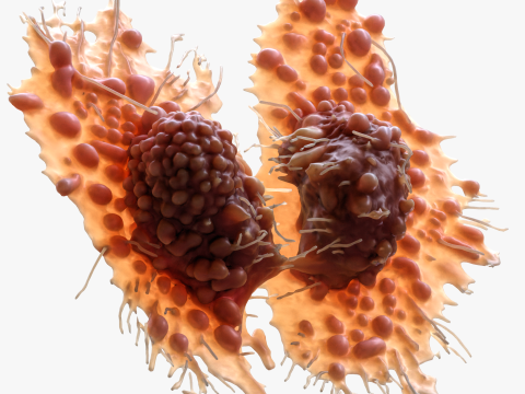 Cancer Cell Tumor Modello 3D