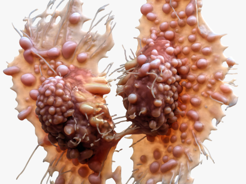 Cancer Cell Tumor Modello 3D
