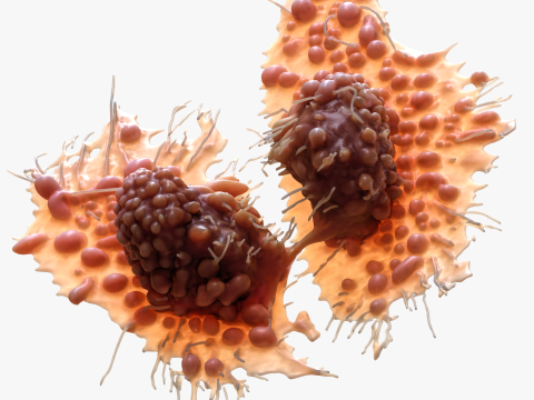 Cancer Cell Tumor Modello 3D