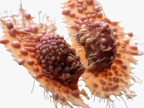 Cancer Cell Tumor Modello 3D