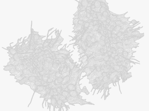 Cancer Cell Tumor Modello 3D