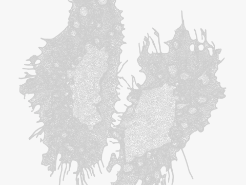 Cancer Cell Tumor Modello 3D