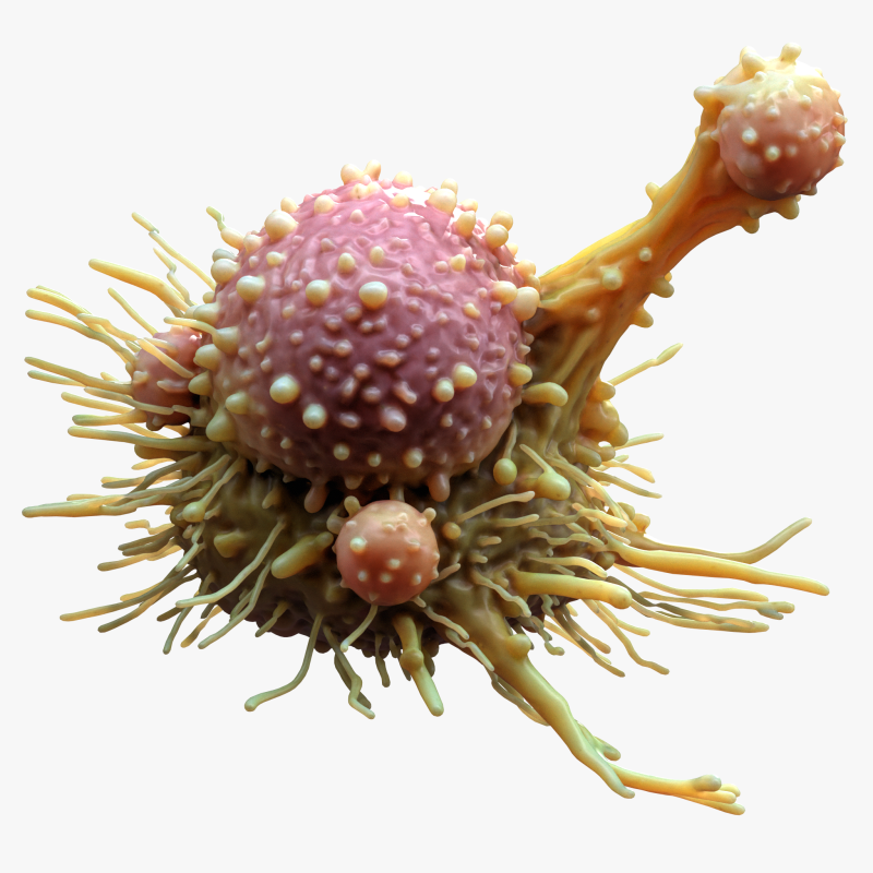 Cancer Cell Tumor 3D Модель .c4d .max .obj .3ds .fbx .stl .blend
