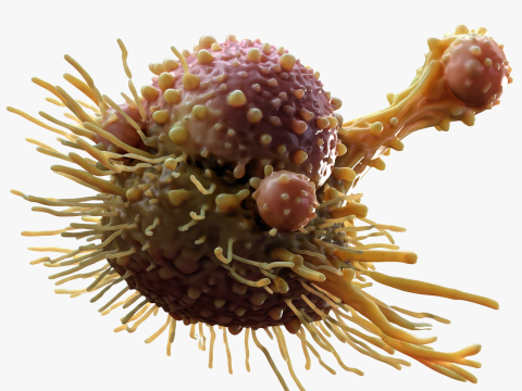 Cancer Cell Tumor 3D Модель