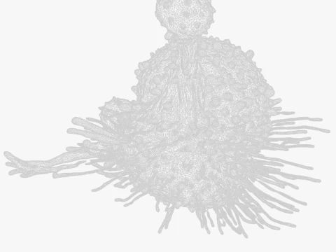 Cancer Cell Tumor 3D Model