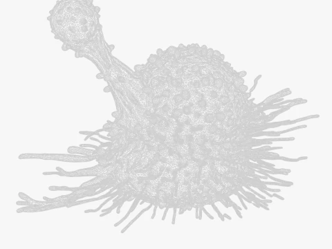 Cancer Cell Tumor 3D Model