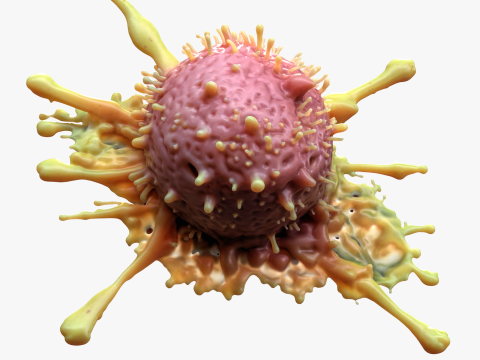 Cancer Cell Tumor 3D 模型