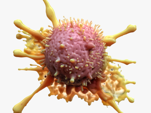Cancer Cell Tumor 3D मॉडल