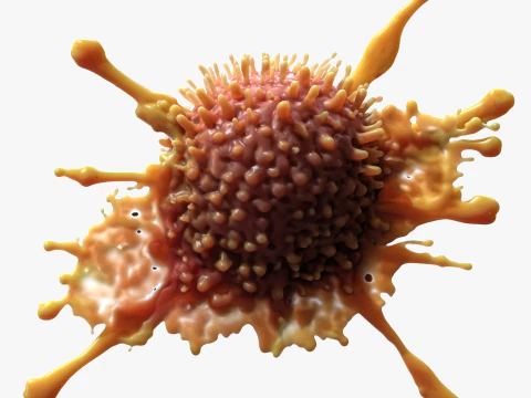 Cancer Cell Tumor 3D Model