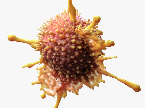 Cancer Cell Tumor 3D मॉडल