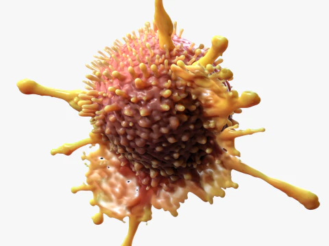 Cancer Cell Tumor 3D Model