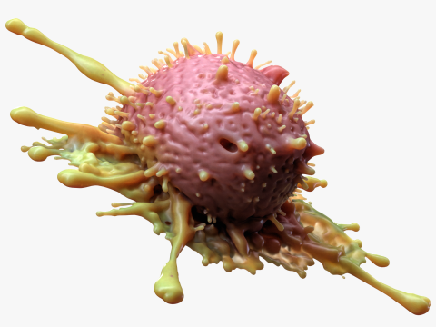 Cancer Cell Tumor 3D मॉडल