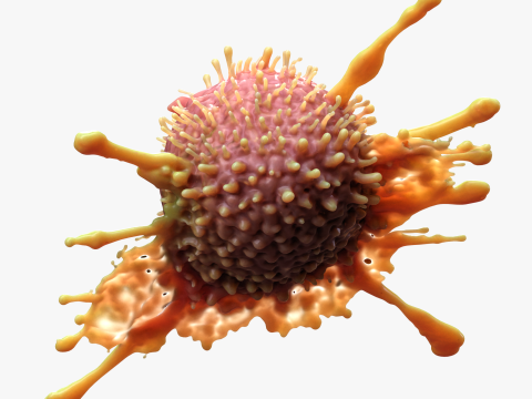 Cancer Cell Tumor 3D मॉडल