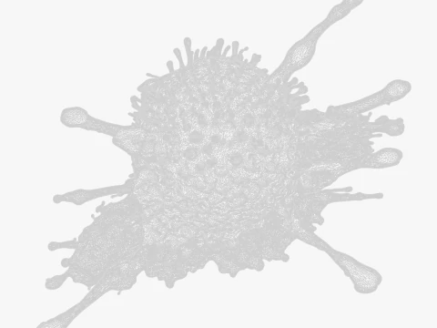 Cancer Cell Tumor 3D Model