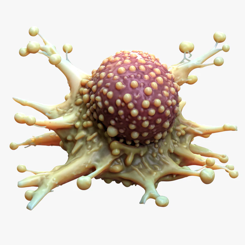 Cancer Cell Tumor 3D Model .c4d .max .obj .3ds .fbx .stl .blend