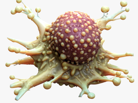 Cancer Cell Tumor 3D 模型
