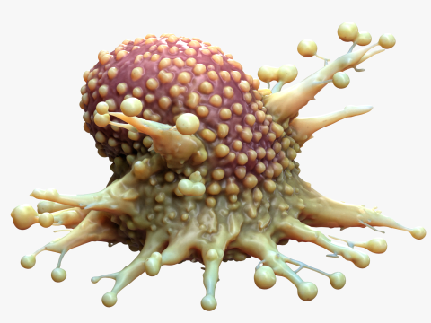 Cancer Cell Tumor Model 3D