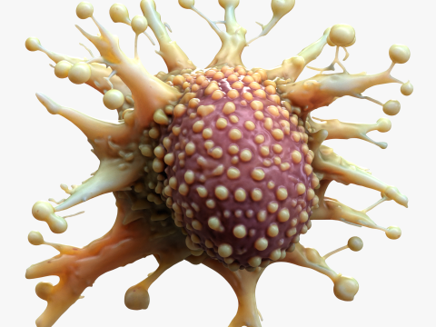 Cancer Cell Tumor Model 3D