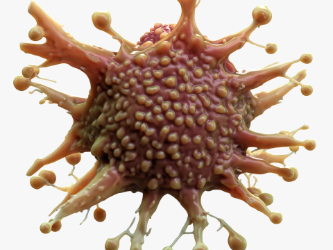 Cancer Cell Tumor Model 3D