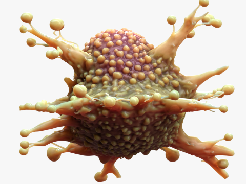 Cancer Cell Tumor Model 3D