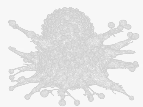 Cancer Cell Tumor 3D Model