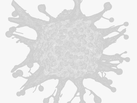 Cancer Cell Tumor 3D Model