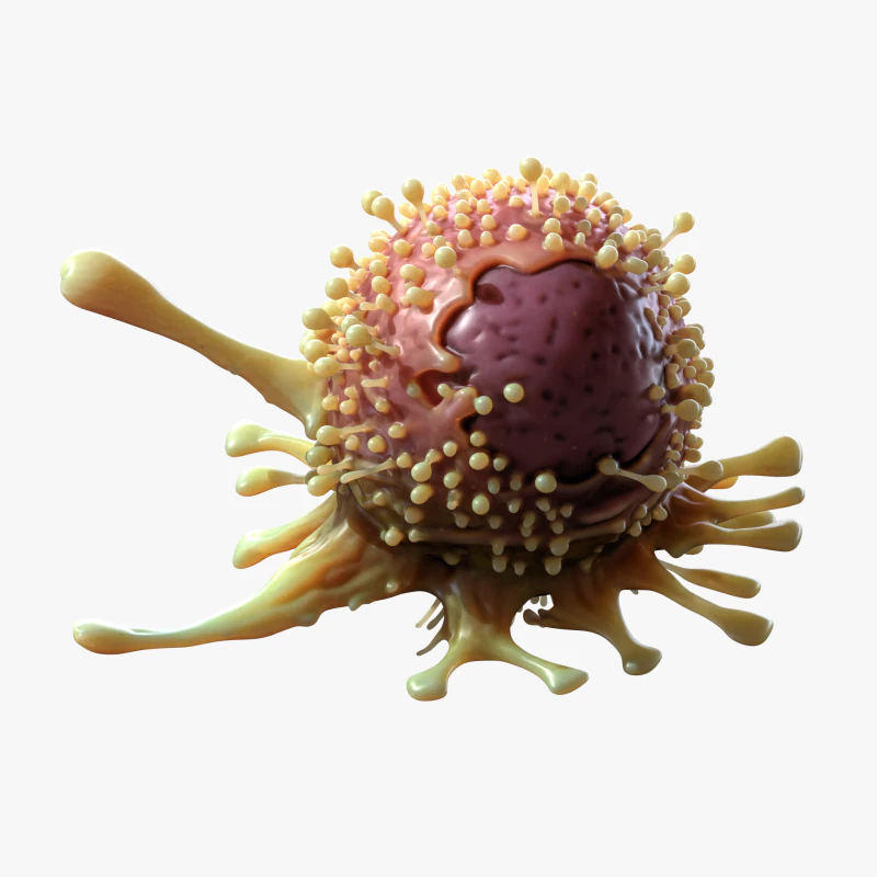 Cancer Cell Tumor 3D Model .c4d .max .obj .3ds .fbx .stl .blend 