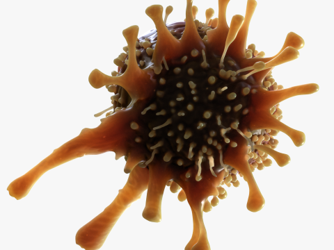 Cancer Cell Tumor Modello 3D