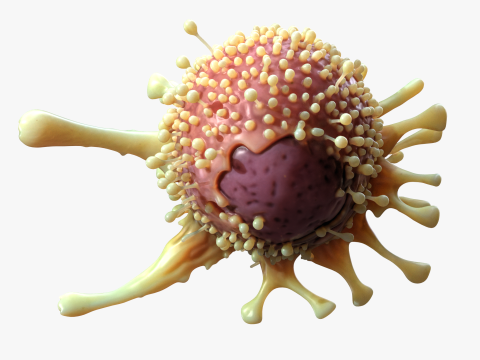 Cancer Cell Tumor Modello 3D