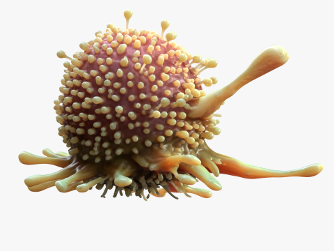 Cancer Cell Tumor Modello 3D