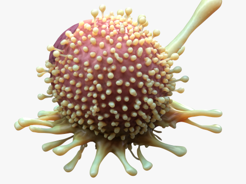 Cancer Cell Tumor Modello 3D