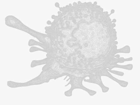 Cancer Cell Tumor 3D Model