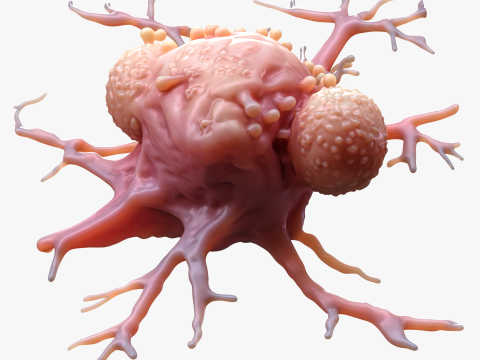 Cancer Cell Tumor 3D Модель