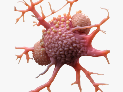 Cancer Cell Tumor 3D Модель