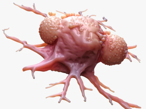 Cancer Cell Tumor 3D Model