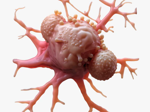 Cancer Cell Tumor 3D Model