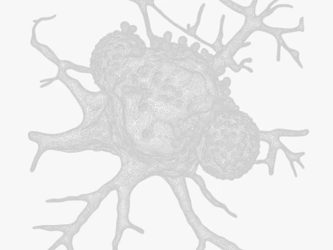 Cancer Cell Tumor 3D Model