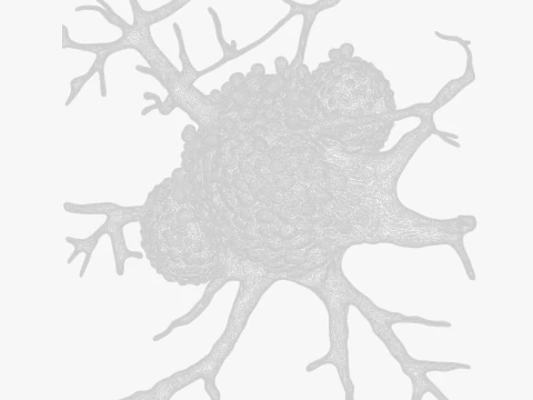 Cancer Cell Tumor 3D Model