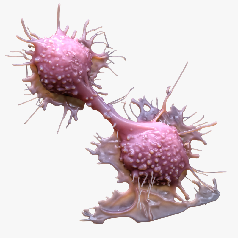 Cancer Cell Tumor Modello 3D .c4d .max .obj .3ds .fbx .stl .blend