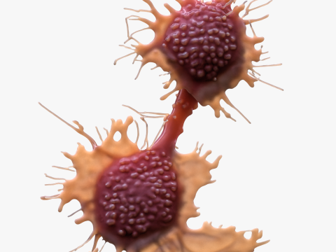 Cancer Cell Tumor Modello 3D