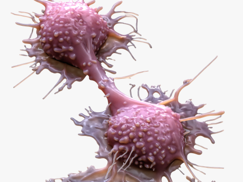 Cancer Cell Tumor Modello 3D