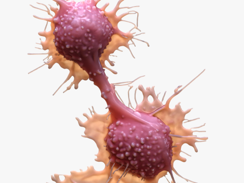 Cancer Cell Tumor Modello 3D