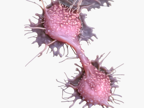 Cancer Cell Tumor Modello 3D