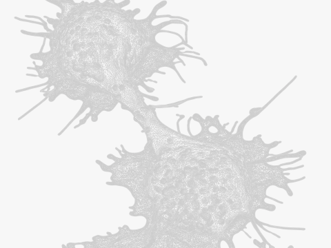 Cancer Cell Tumor Modello 3D