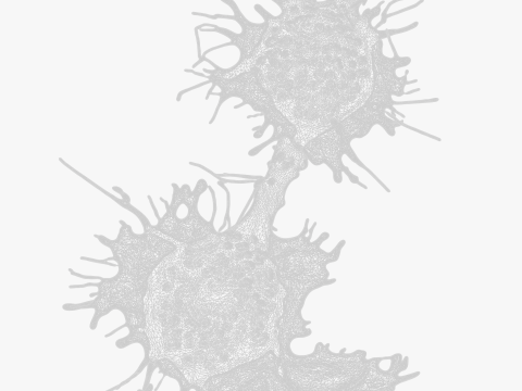 Cancer Cell Tumor Modello 3D