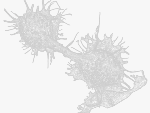 Cancer Cell Tumor Modello 3D