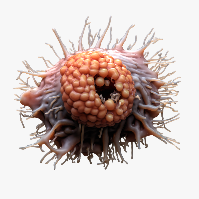 Cancer Cell Tumor Modello 3D .c4d .max .obj .3ds .fbx .stl .blend