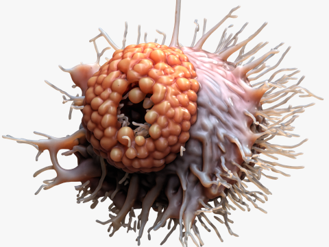 Cancer Cell Tumor Modello 3D