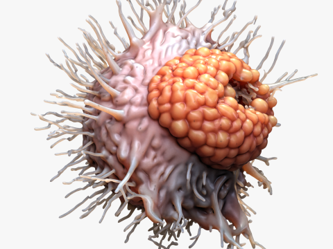 Cancer Cell Tumor Modello 3D