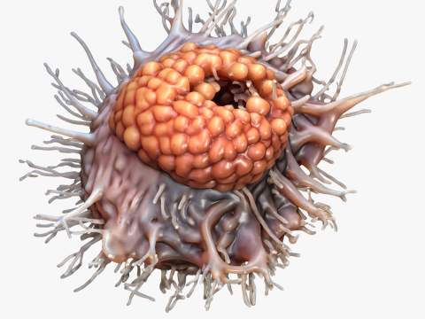 Cancer Cell Tumor Modello 3D